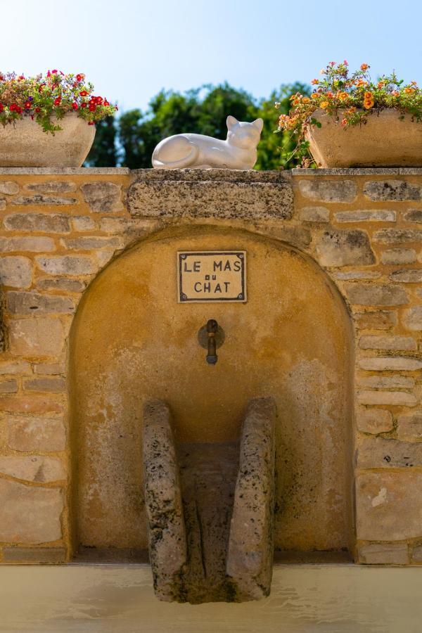 Le Mas Du Chat Bed & Breakfast Cavaillon Luaran gambar